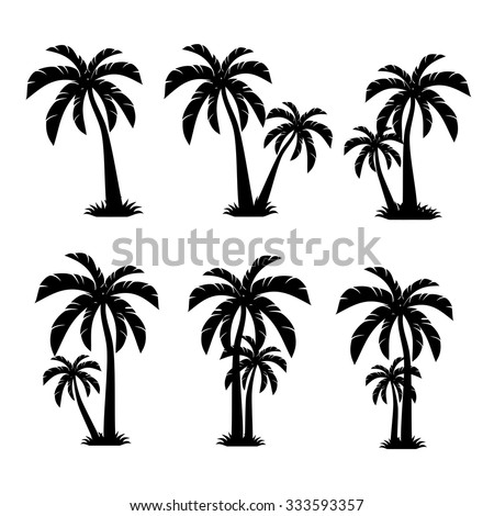 Palm Trees Vector Stock Vector 333593357 - Shutterstock