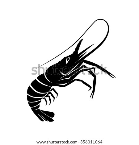 Shrimp Vector Vectores En Stock 356011064 Shutterstock