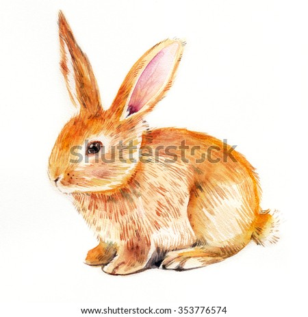 Watercolor Rabbit Stock Illustration 353776574 - Shutterstock