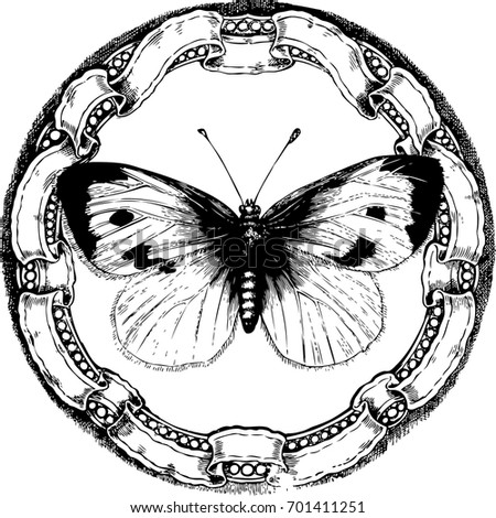 Vintage Butterfly Vector Illustration Butterfly Stock ...