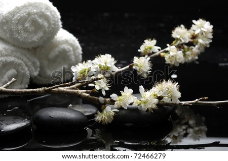 Still life with branch cherry blossom sakura with roller towel