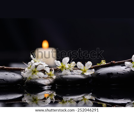 Spring peach blossom with two candle with therapy stones