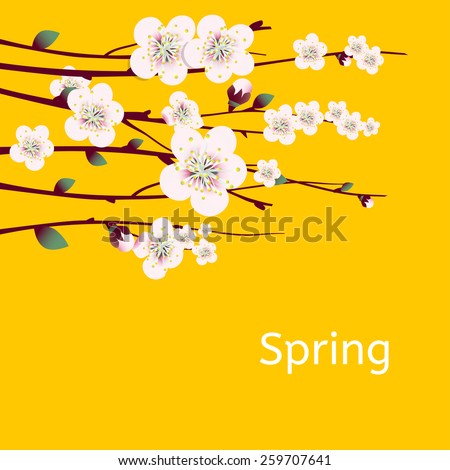 Vector spring apricot blossoming branch on bright yellow background