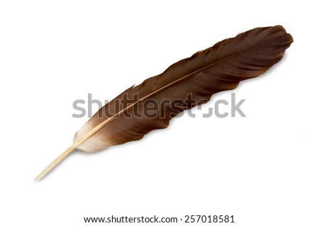 Goose-quill Stock Images, Royalty-Free Images & Vectors | Shutterstock