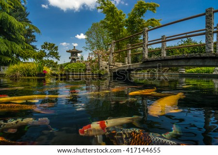 beautiful japanese garden with many plant pecies and water pond where you can see koi fish - Japanese Koi Garden beautiful japanese garden with many plant pecies and water pond where you can see koi fish - Japanese Koi Garden