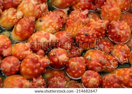 korean Sea food squirt