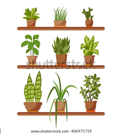 Plant Stock Images, Royalty-Free Images & Vectors | Shutterstock