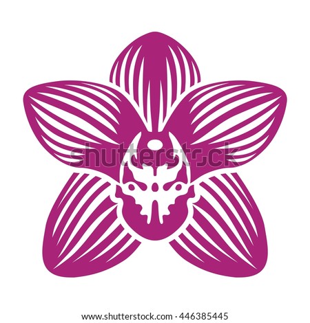 Orchid purple