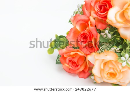 Orange rose flowers on white background