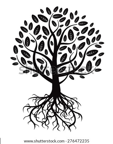 illustration tree roots stock illustration 16716217 illustration tree roots stock illustration 16716217