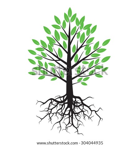 Tree Roots Stock Vector 389783209 - Shutterstock
