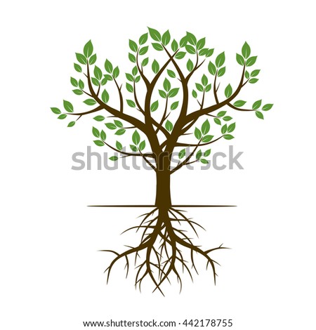 Color Tree Roots Vector Illustration Stock Vector 403058923 - Shutterstock