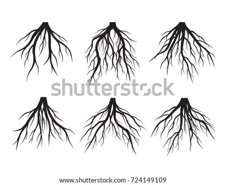 Set Black Roots Vector Illustration Stock Vector 556004128 - Shutterstock