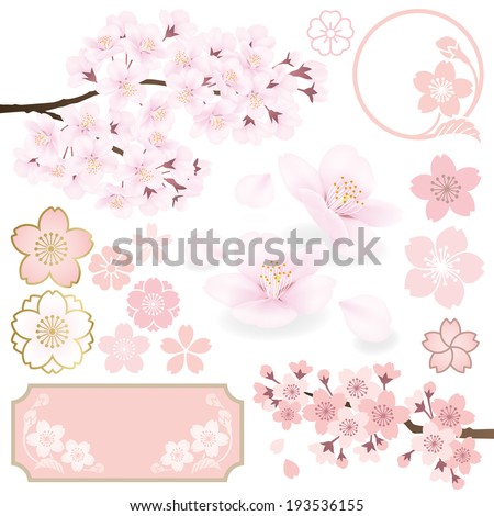 Cherry blossom