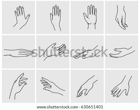 Hand Collection Vector Line Illustration 스톡 벡터 630651401 - Shutterstock