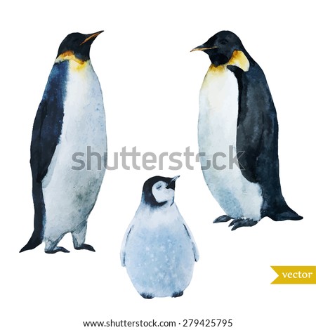 Beautiful Watercolor Illustration Penguin Babes Hand Stock Illustration ...