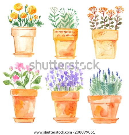 Set Flowers Pot Watercolor Stock Illustration 208099051 - Shutterstock