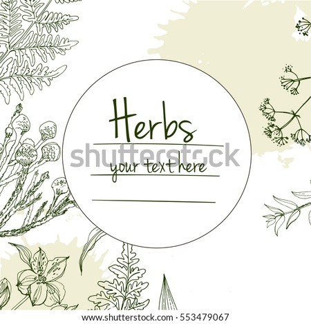 Herbs And Flowers Painted Green Line Space For Text Vector Drawing Template With