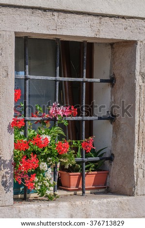 Old Door Flowerpot Front Stock Photo 67121503 - Shutterstock
