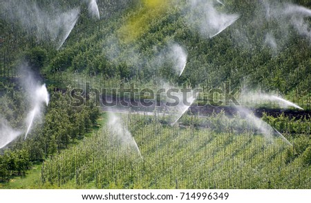 irrigation