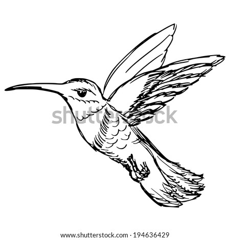 Flying Bird Zentangle Stile Hand Drawn Stock Vector 382638280 ...