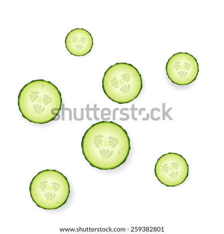 Cucumber slices on white background, vector.
