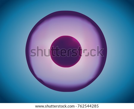 skin cells stock photos royalty free images vectors melanocytes stock images royalty free images vectors skin cells stock photos royalty free images vectors melanocytes stock images royalty free images vectors