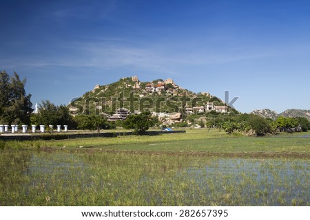 Rice field in the mountainous hinterland of Ninh Thuan, Vietnam