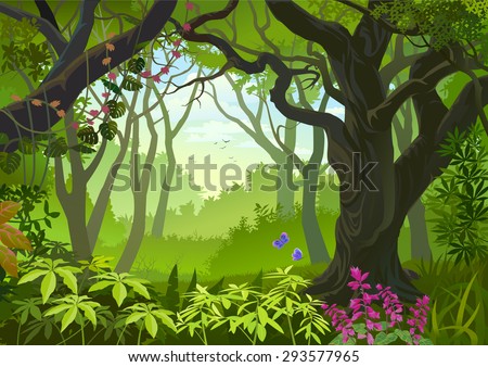 Forest Stock Photos, Royalty-Free Images & Vectors - Shutterstock