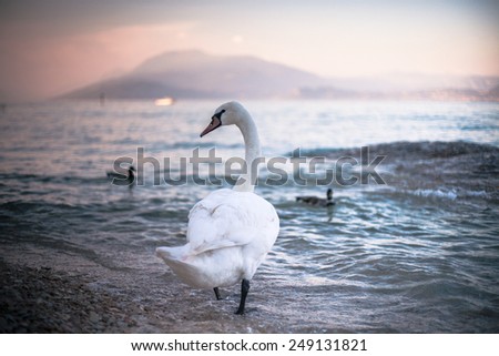 lake cormorant single women 1000s of lake cormorant women dating personals signup free and start meeting local lake cormorant women on bookofmatchescom. lake cormorant single women 1000s of lake cormorant women dating personals signup free and start meeting local lake cormorant women on bookofmatchescom.