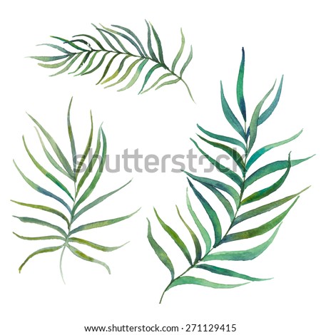 3 Vector Tropical Palm Leaves Realistic Stock Vector 246216601 ...