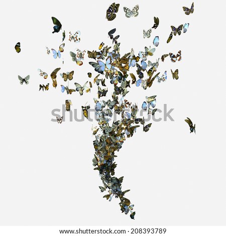 Download Group Of Butterflies Stock Images, Royalty-Free Images ...