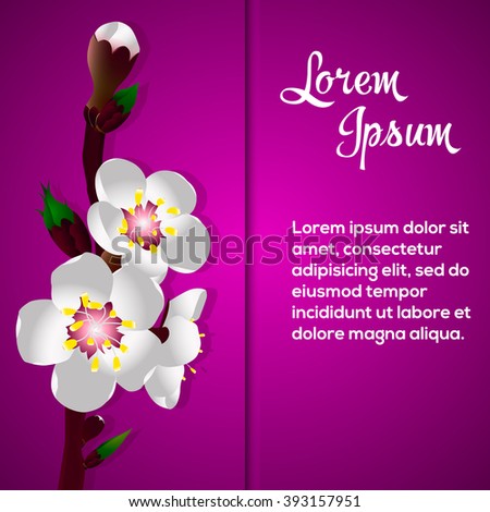 Apricot blossom card Vector Illustration