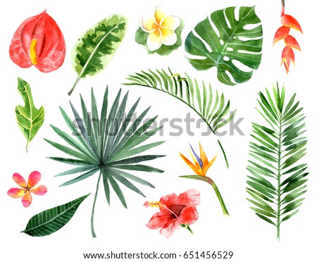 mart's Portfolio on Shutterstock