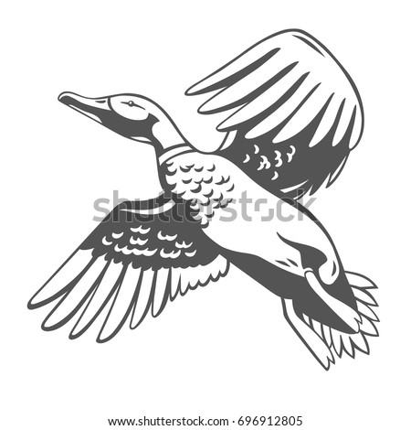 Duck Stock Images, Royalty-Free Images & Vectors | Shutterstock