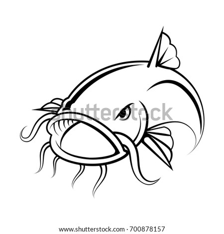 Graphic Catfish On White Background Vector Stock Vector 700878157