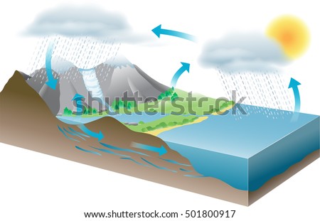 Vector Illustration Showing Water Cycle Stock Vector (Royalty Free