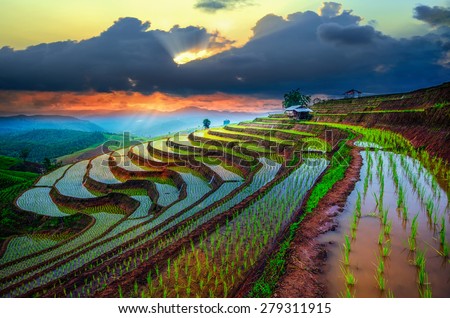 Terraced Paddy Field in Mae-Jam Village , Chaingmai Province , Thailand