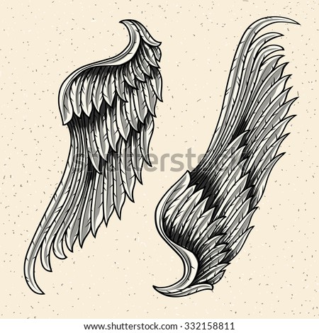 Hand Drawn Bird Wing Stock Vector 81813601 - Shutterstock