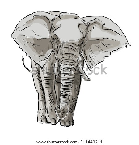 Sketch By Pen African Elephant Front Stock Vector 684721069 - Shutterstock