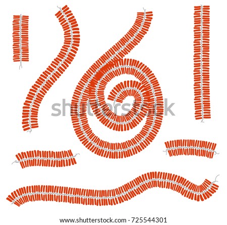 Diwali fire crackers garland series. An assorted set of firecracker strip vector illustration.