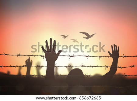 stock-photo-world-refugee-day-concept-silhouette-human-hands-raising-and-barbed-wire-on-sunset-background-656672665.jpg