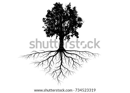 Tree Roots Isolated On White Vector Stock Vector 122106715 - Shutterstock