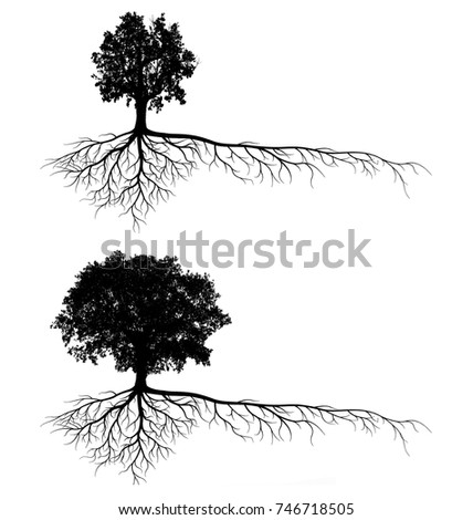 Pine Tree Silhouette Roots Stock Images, Royalty-Free Images & Vectors ...