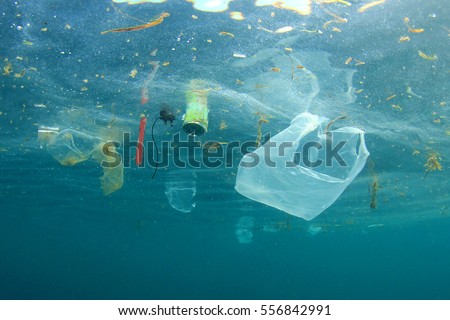 Plastic pollution in ocean