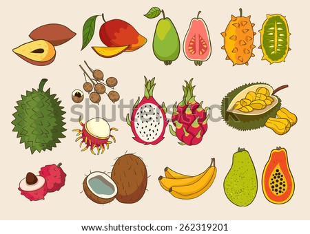 Set of exotic fruit. Vector illustrations.