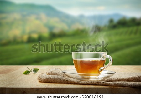 Cup of hot tea and tea leaf on the wooden table and the tea plantations background