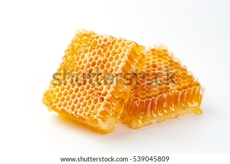 Honeycomb isolated on white background