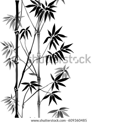 Black White Bamboo Stock Vector 48929968 - Shutterstock