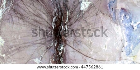 artistic vulva do girls like cum on face